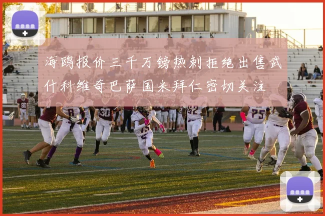 海鸥报价三千万镑热刺拒绝出售武什科维奇巴萨国米拜仁密切关注
