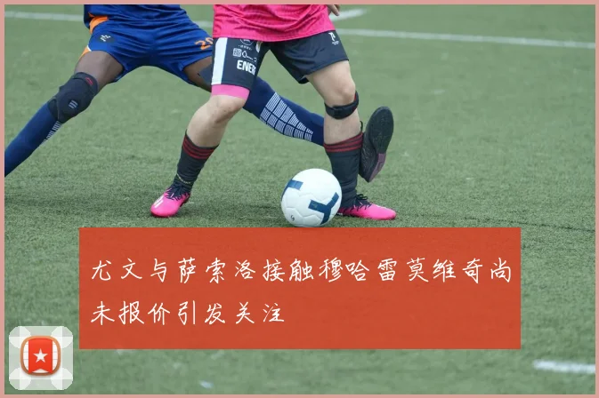 尤文与萨索洛接触穆哈雷莫维奇尚未报价引发关注