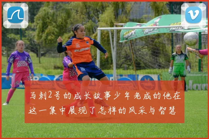 马刺2号的成长故事少年老成的他在这一集中展现了怎样的风采与智慧